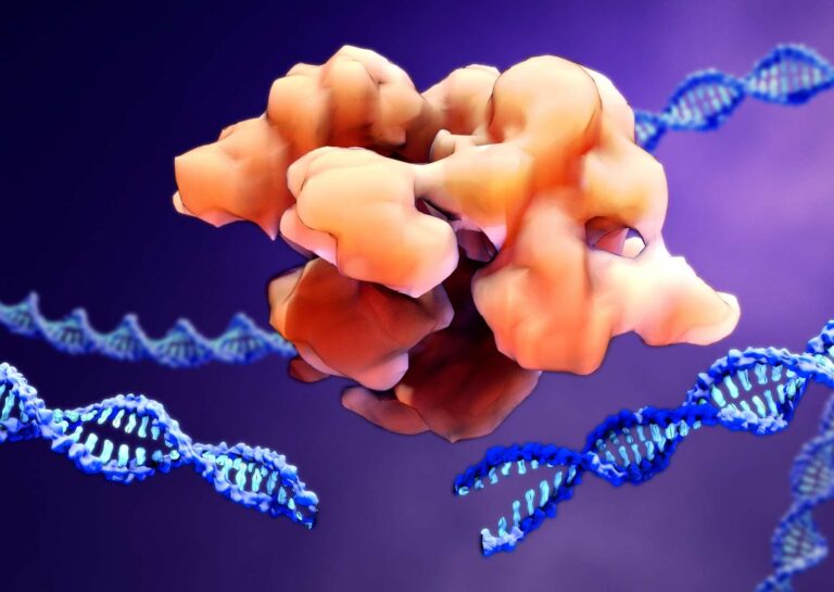 Biology – An In-Depth Guide