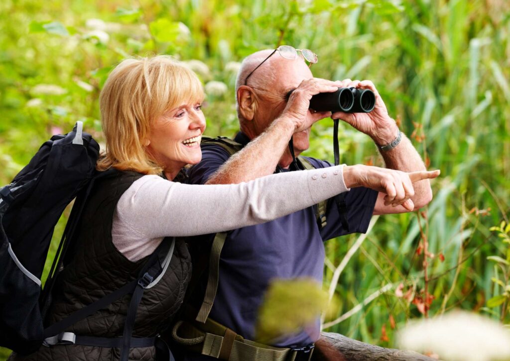 Bird Watching Basics
