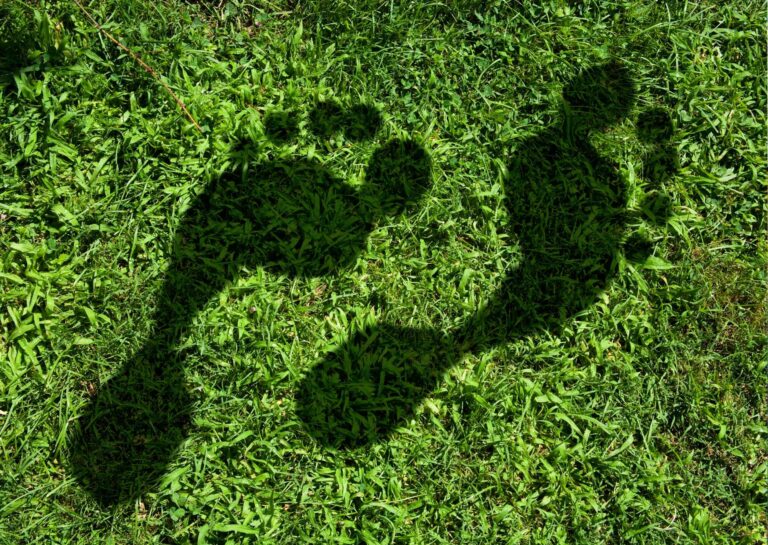 Carbon Footprint Online Training