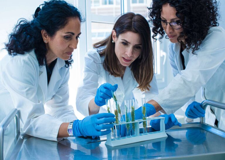 Chemical Engineering Fundamentals