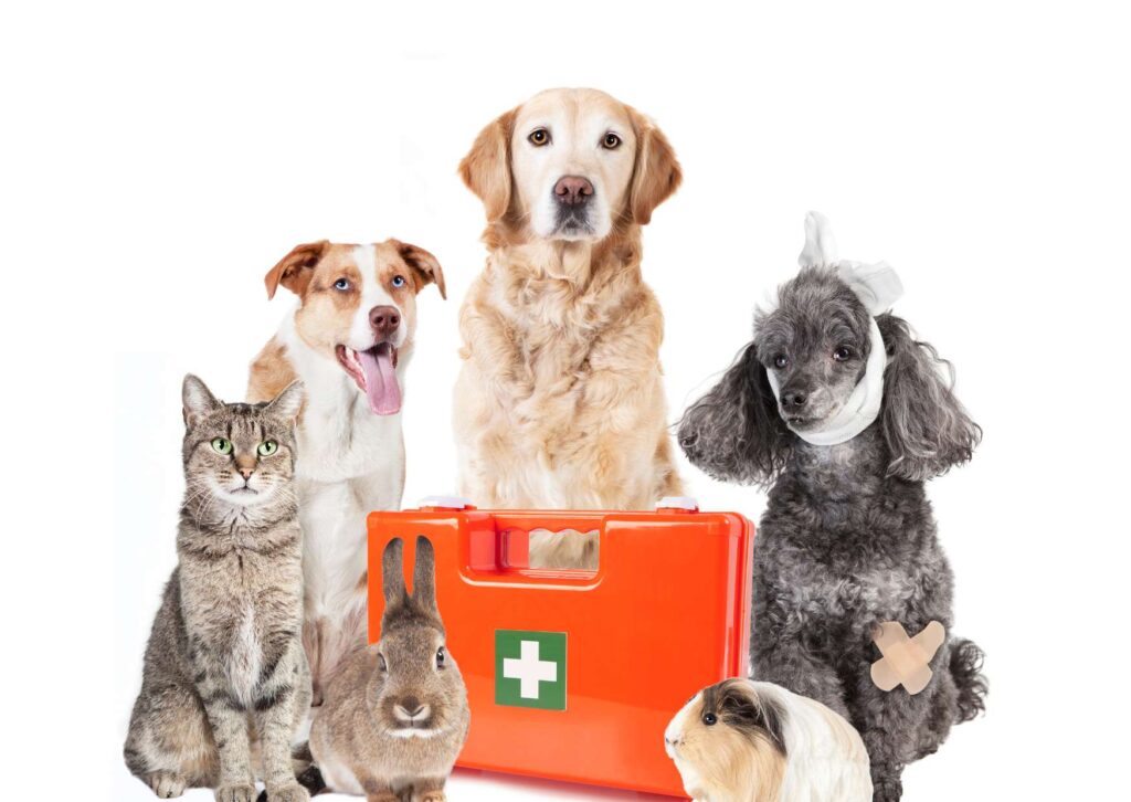 First Aid for Pets and Wildlife