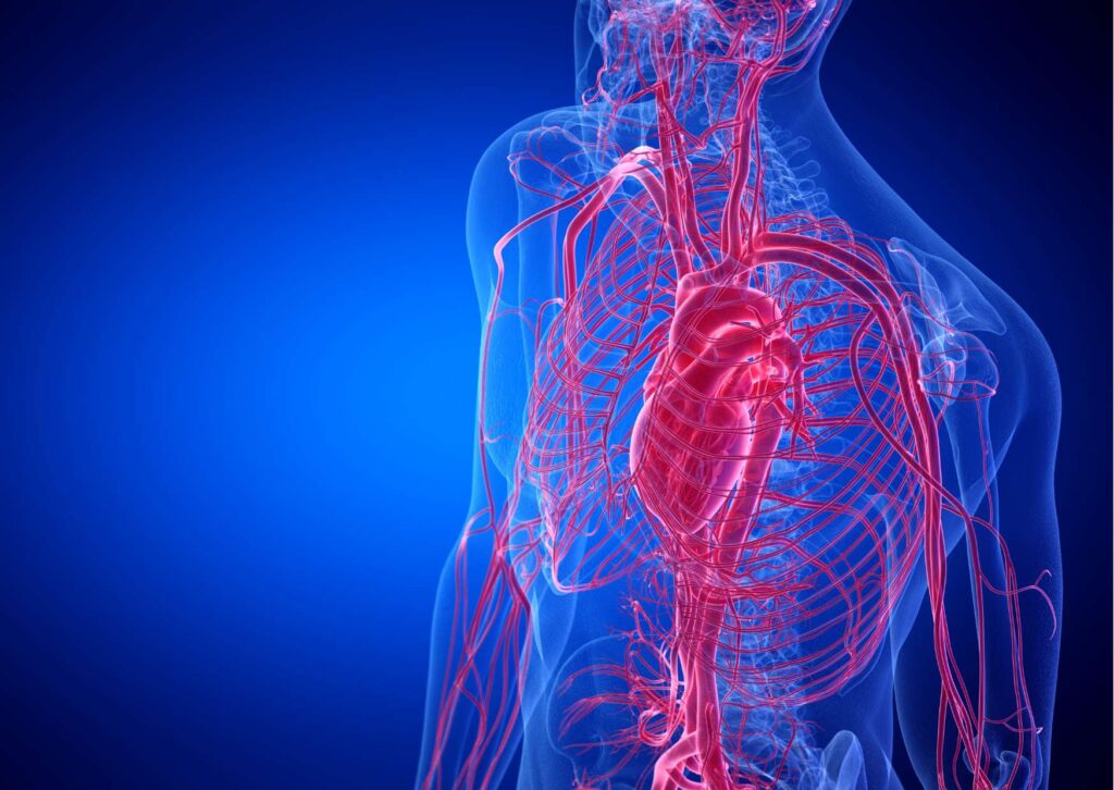 Basics of Anatomy and Physiology