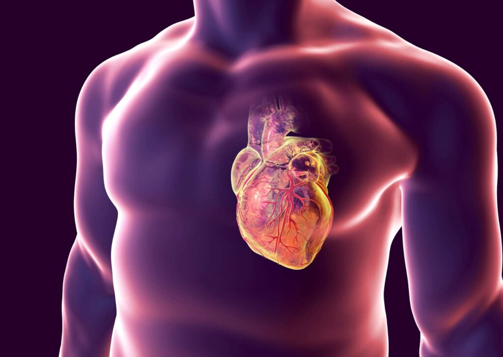 Exploring Cardiac Health and Physiology in Cardiology