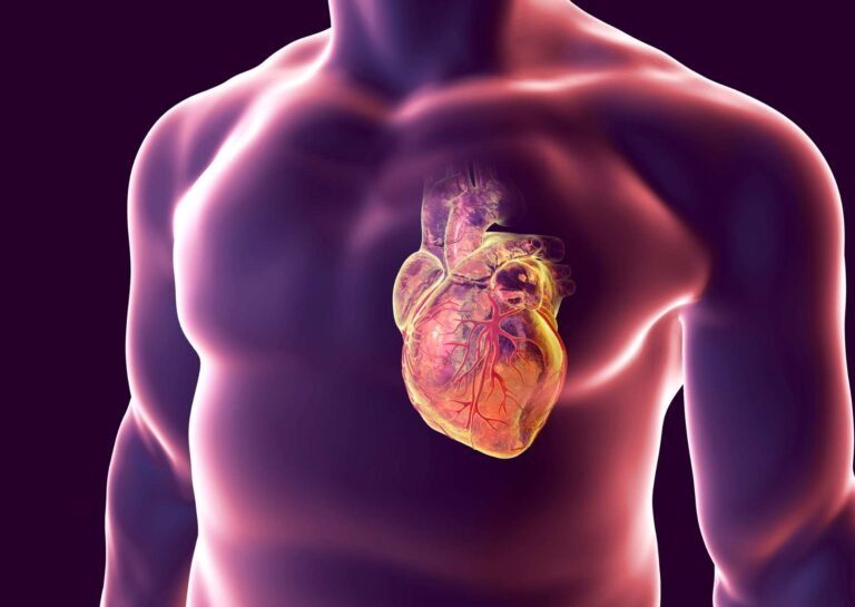 Exploring Cardiac Health and Physiology in Cardiology