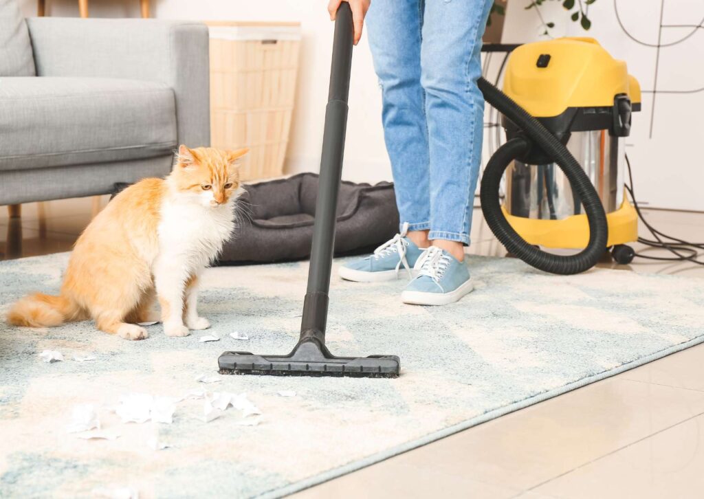 Carpet Cleaning Certification