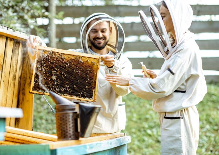 Beekeeping Diploma