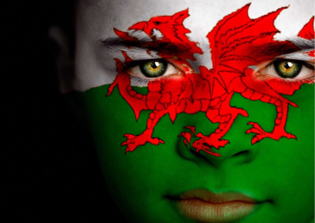 Welsh History Diploma