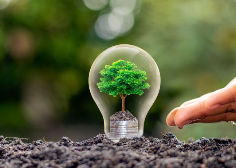 Renewable Energy Overview