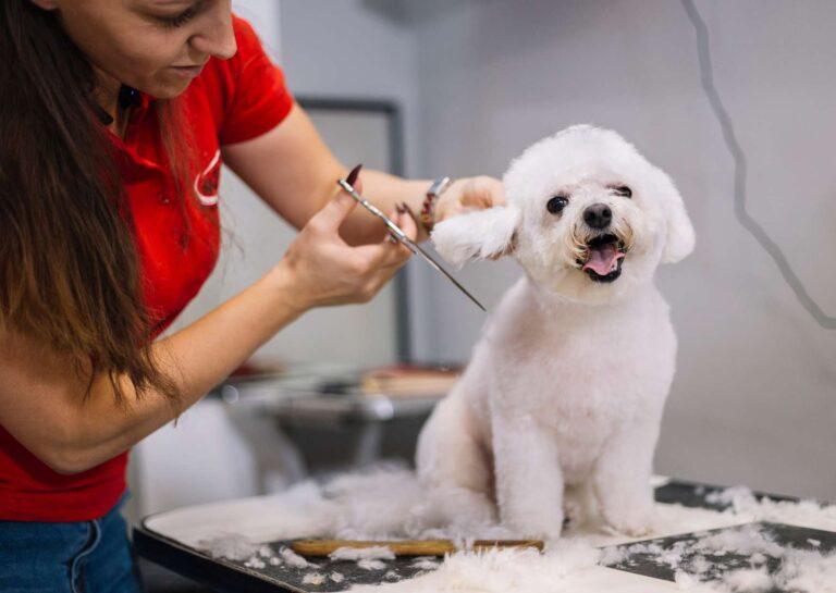 Dog Grooming Mastery Course