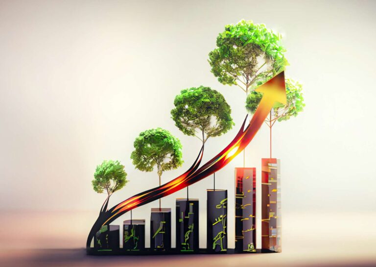 Environmental Management Certification