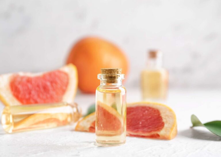Food Technology Essentials