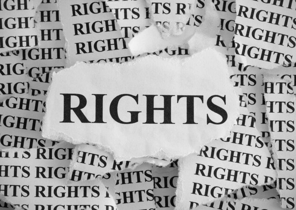 Human Rights Associate