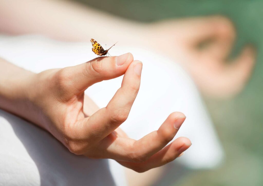 Mindfulness Meditation Workshop