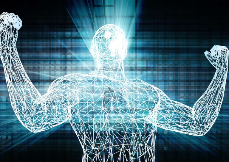 Optimal Body Transformation Tactics