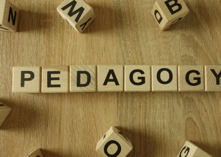 Pedagogy in Primary Education