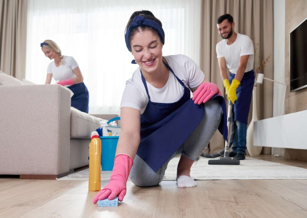 Professional Cleaning Practices (UK)