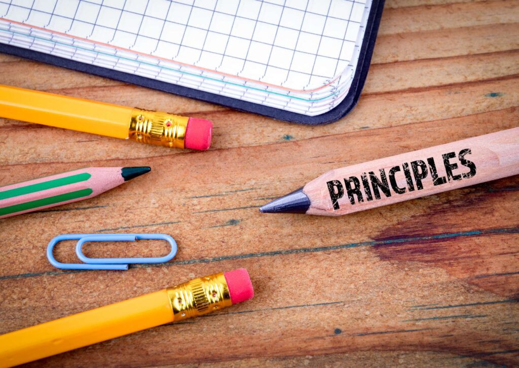 Revealing Sales Persuasion Principles