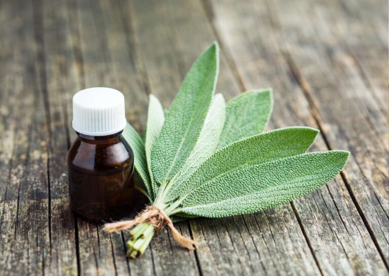 Sage Essentials