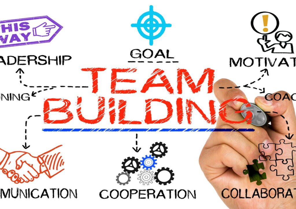 Talent Transformation: High-Performance Team Building