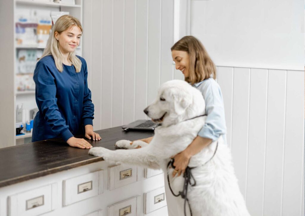 Veterinary Assistant Overview
