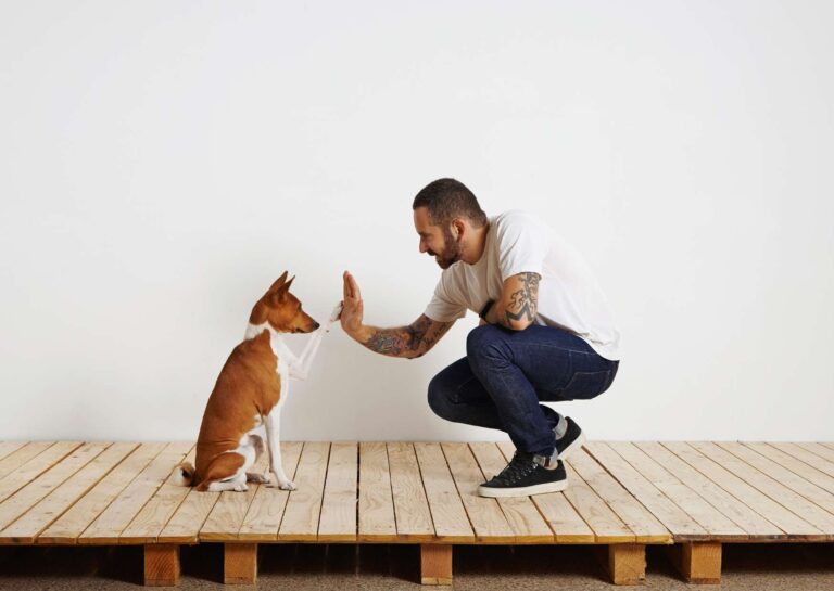 Dog Training Handbook