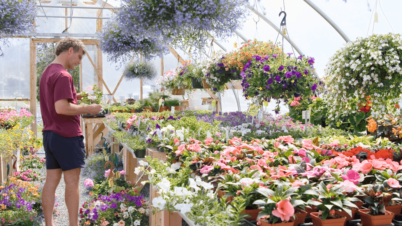 Level 3 Certificate in DIY Greenhouse Construction Thumbnail