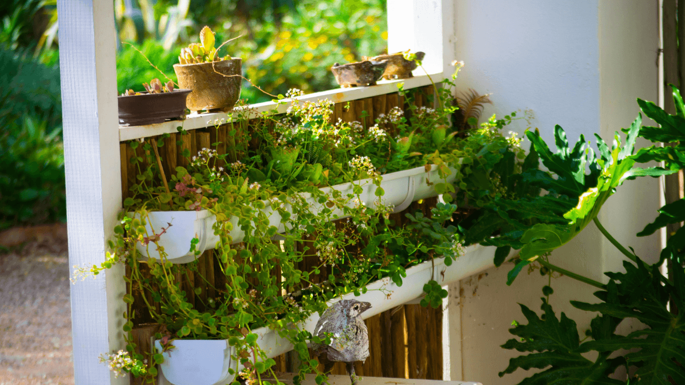 Level 3 Certificate in DIY Vertical Garden Design Thumbnail