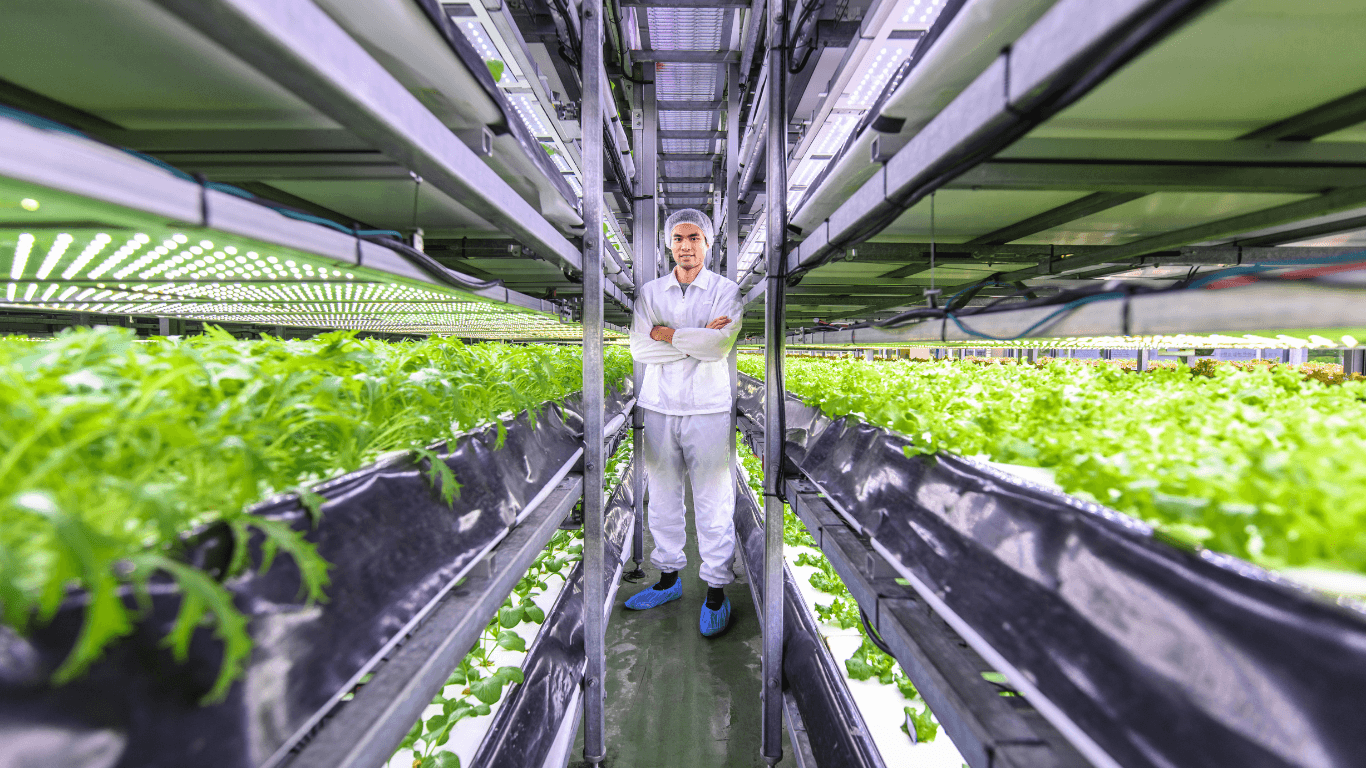 Level 3 Certificate in Introduction to Microgreens Farming Thumbnail
